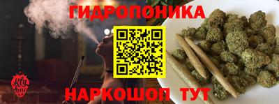 гидра Кингисепп