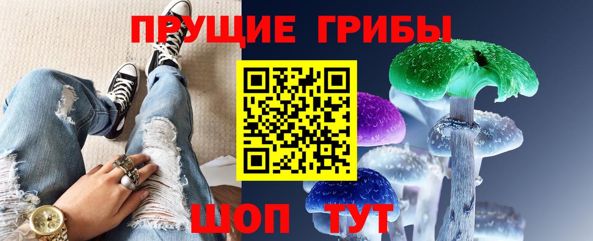 Кашира  наркота  Вход с VPN  Галлюциногенные грибы Psilocybe  Галлюциногенные грибы мицелий 